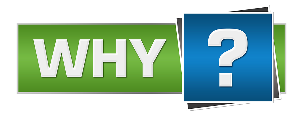 In this section, you learn why my services are needed by your business.